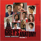 Grey's Anatomy Volume 2