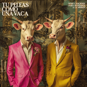 Ocho canciones para mandarte a la mierda