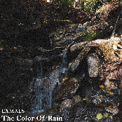 The Color Of Rain