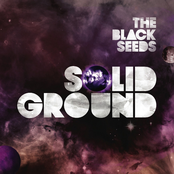 Strugglers by The Black Seeds