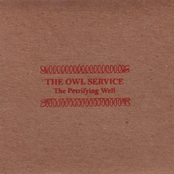 Wake The Vaulted Echo by The Owl Service