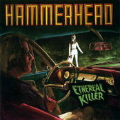 Vegas Incident by Hammerhead