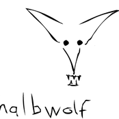 Halbwolf