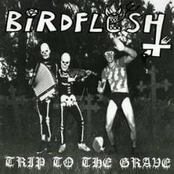 Land Of The Sick by Birdflesh