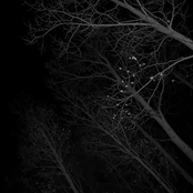 Take Me to the Moon and Back