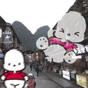 didn’t want it all