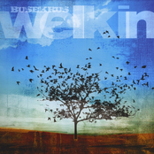Welkin