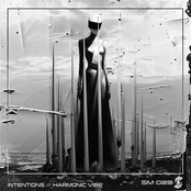 Intentions / Harmonic Vibe