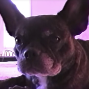 H i t D i f f e r e n t X G o o d D a y s (A c o u s t i c)