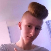 crickets and mosquitos