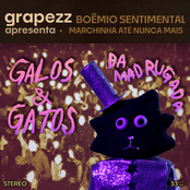 Galos e Gatos da Madrugada