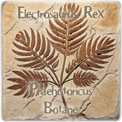Praehistoricus Botane