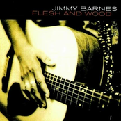 Flame Trees by Jimmy Barnes