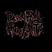 downfall humanity