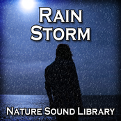 Rain Storm (Nature Sounds for Deep Sleep, Relaxation, Meditation, Spa, Sound Therapy, Studying, Healing Massage, Yoga and Chakra Balancing)