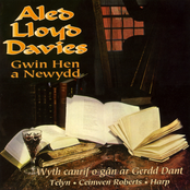 Gwin Hen A Newydd (Wyth Canrif O Gan Ar Gerdd Dant)