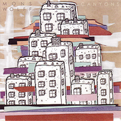 Mons Wolff/Canyons split 7"