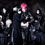 ギャロ×avelcain