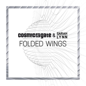 Folded Wings