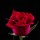 Skys of Red (May's Version)