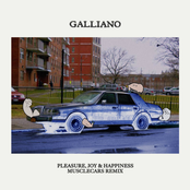 Pleasure, Joy & Happiness (musclecars remix)