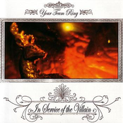 In Service Of The Villain