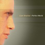 Perfect World
