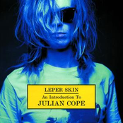 Crazy Farm Animal by Julian Cope