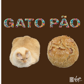 Gato Pão