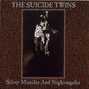 Silver Missiles & Nightingales