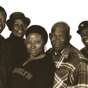 the cool crooners of bulawayo