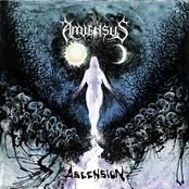 Amiensus: Ascension