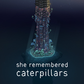 She Remembered Caterpillars: Original Soundtrack