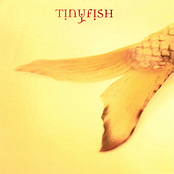 Tinyfish by Tinyfish