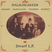 Dwarf L.P.