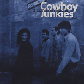 In The Long Run by Cowboy Junkies