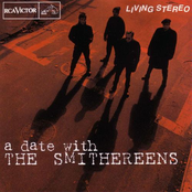 Everything I Have Is Blue by The Smithereens