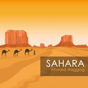 Ahmed Haggag - Sahara