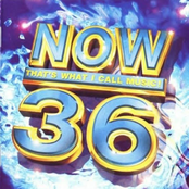 Now That's What I Call Music! 36