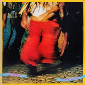 Boizinho Barrica: Baiante