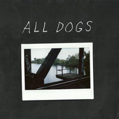 Basement by All Dogs