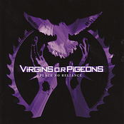 Pestilence by Virgins O.r Pigeons