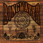 The Porpoise Song by Bongwater