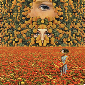 ...And She Exploded Into Color