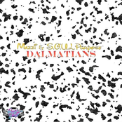 Dalmations - Single