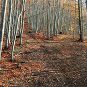 Raňajky šampiónov / Rap