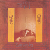 Surrender by The Veil