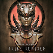 Tribe (Remixed)