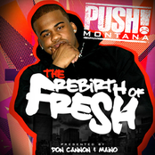 Rebirth of Fresh