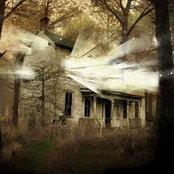 Struggle, the Self and inanity